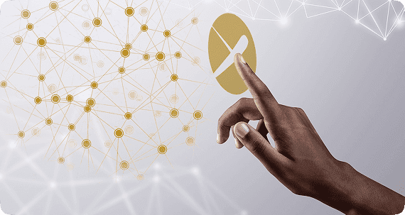 Seamlessly Connected